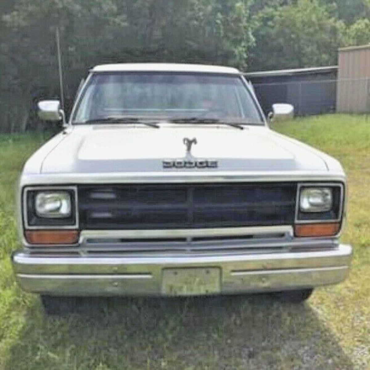 1988 Dodge Other Pickups - photo 4