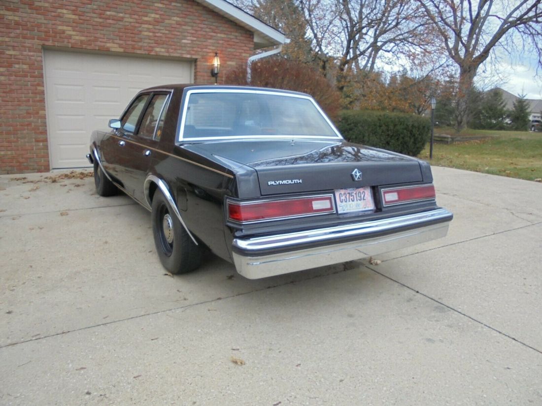 1988 Plymouth Fury Salon - photo 4