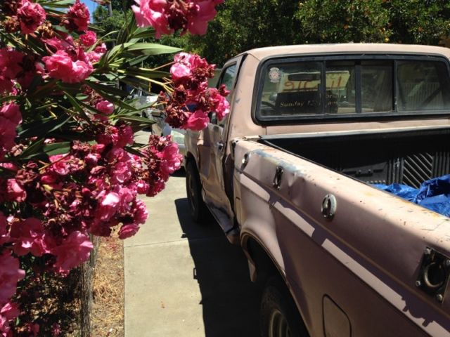 1988 Ford Other Pickups - photo 2