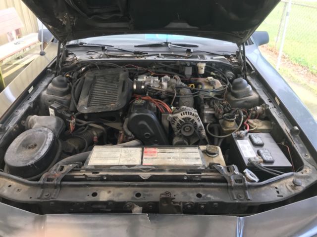 1988 Ford Thunderbird Gold - photo 11