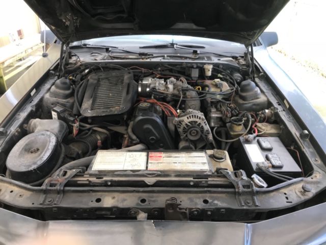 1988 Ford Thunderbird Gold - photo 12