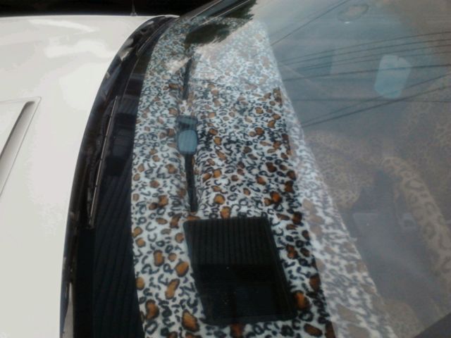 1988 Pontiac Firebird - photo 6