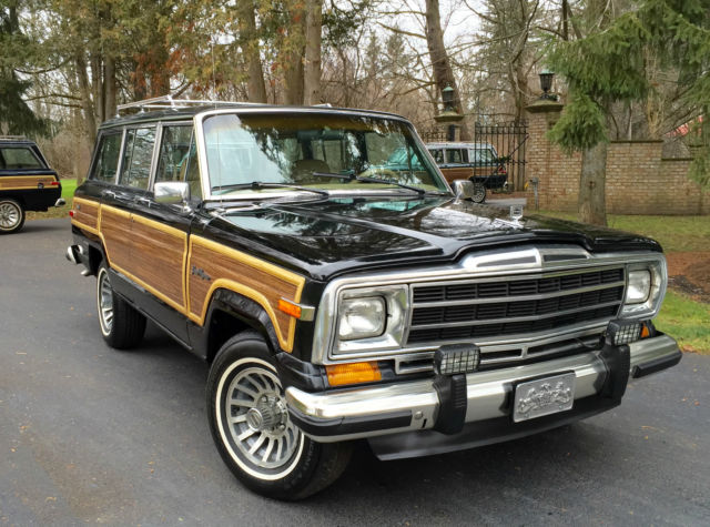 1988 Jeep Wagoneer GRAND - photo 3
