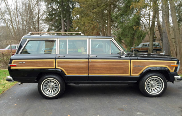 1988 Jeep Wagoneer GRAND - photo 7