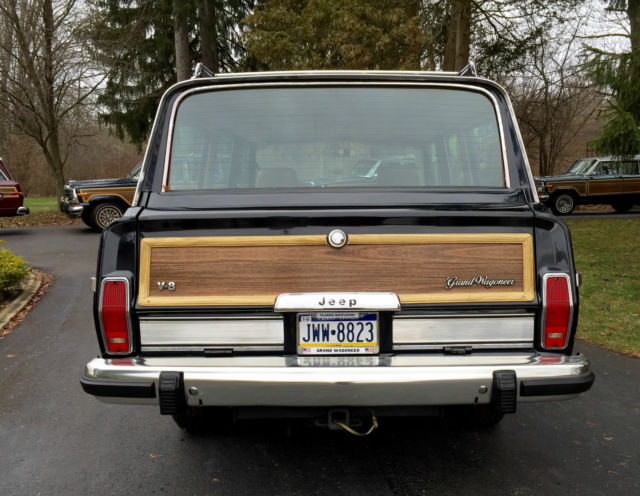 1988 Jeep Wagoneer GRAND - photo 9