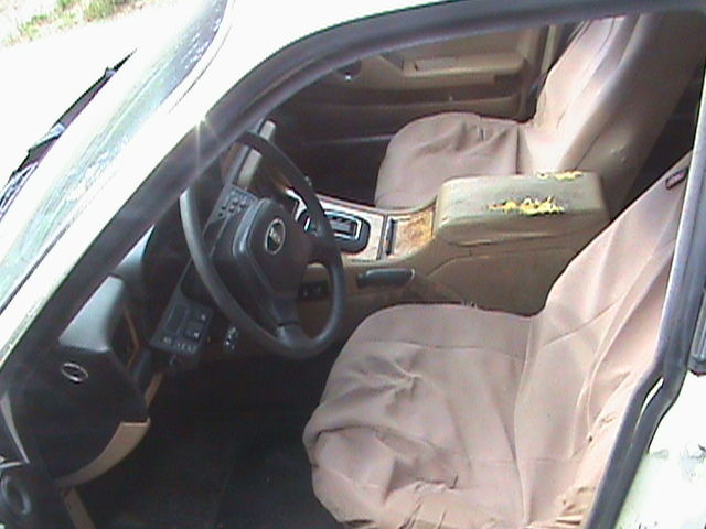 1988 Jaguar XJ6 - photo 3