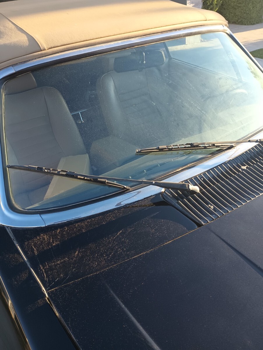 1988 Jaguar XJS - photo 9