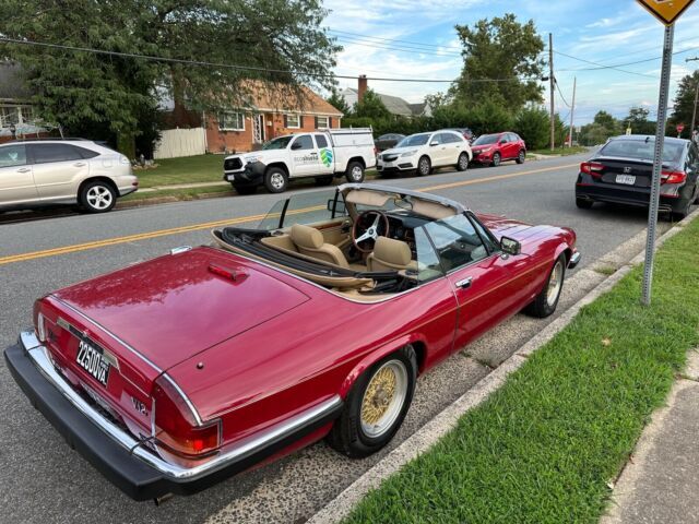 1988 Jaguar XJS V12 - photo 5