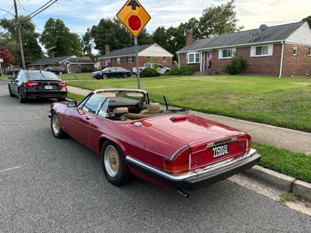 1988 Jaguar XJS V12 - photo 7