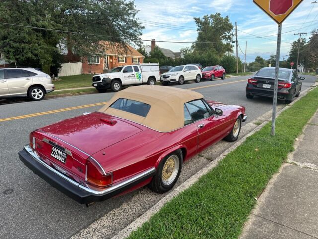 1988 Jaguar XJS V12 - photo 9
