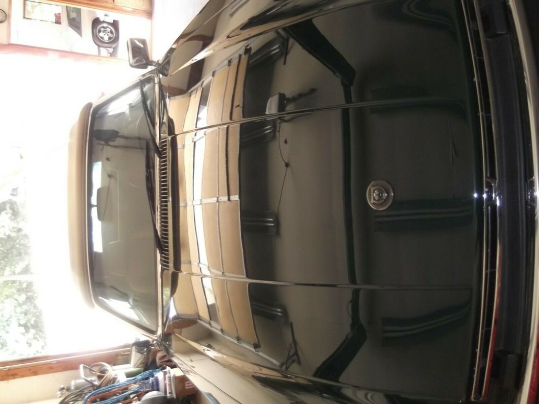 1988 Jaguar XJS - photo 11