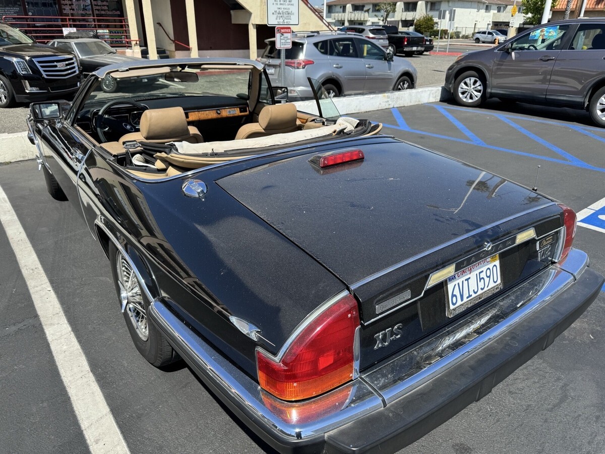 1988 Jaguar XJS Convertible Special Edition AMG - photo 10