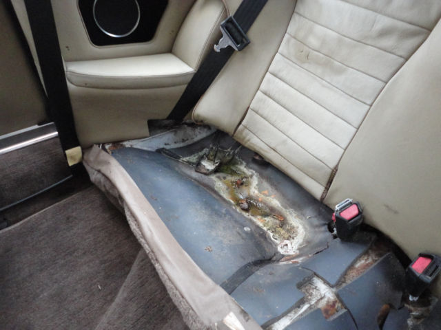 1988 Jaguar XJS - photo 12
