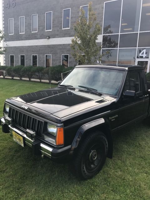1988 Jeep Comanche Pioneer - photo 3