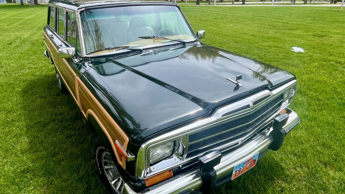 1988 Jeep Wagoneer - photo 11