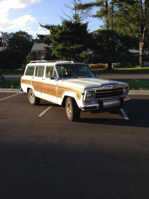 1988 Jeep Wagoneer Wood Grain - photo 6