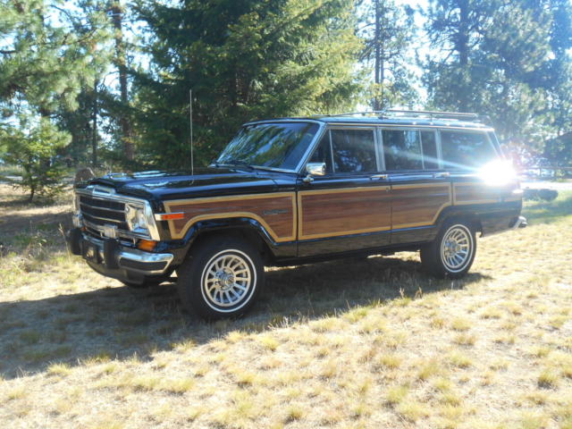 1988 Jeep Wagoneer WAGONEER - photo 3