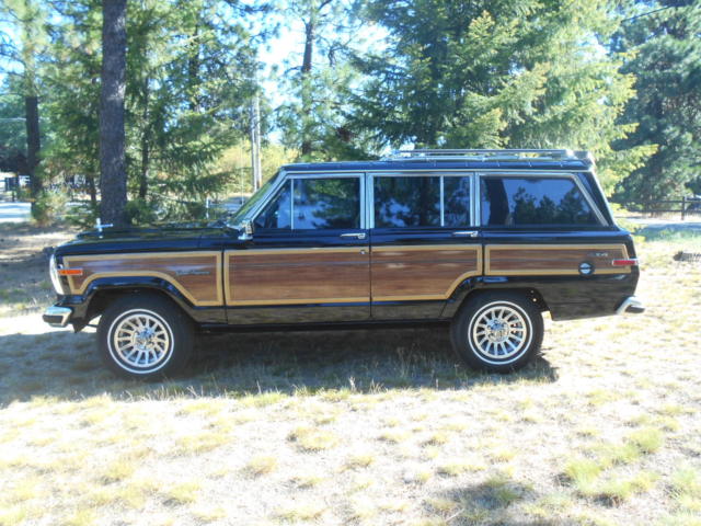 1988 Jeep Wagoneer WAGONEER - photo 9