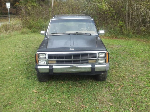 1988 Jeep Wagoneer Wood grain - photo 2