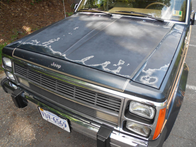 1988 Jeep Wagoneer Limited - photo 3