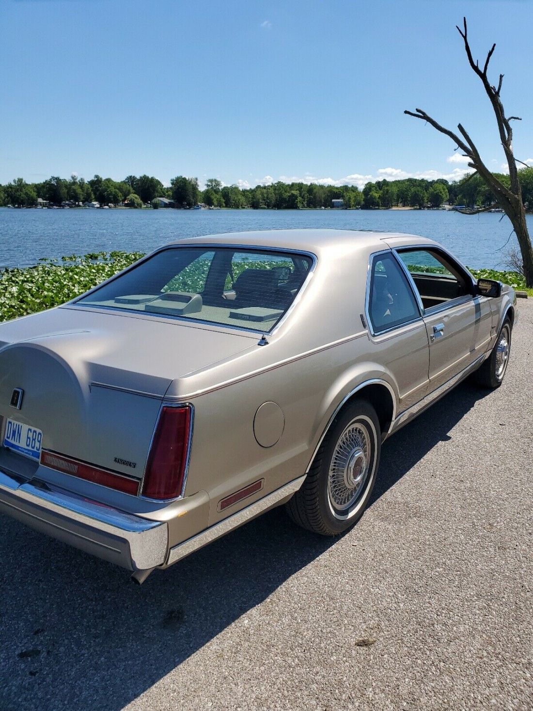 1988 Lincoln Mark VII BLASS - photo 4