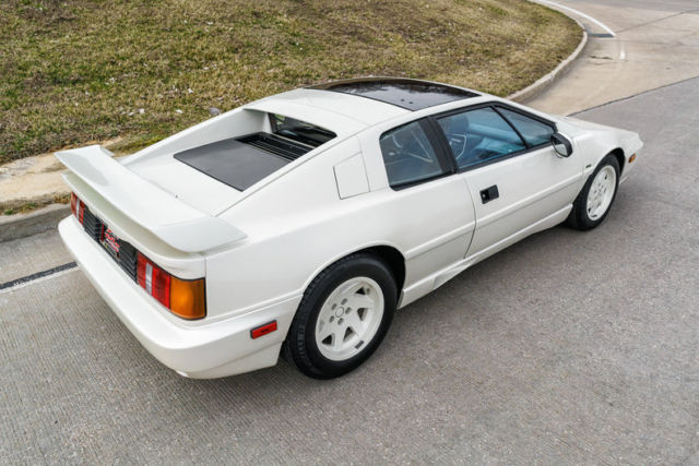 1988 Lotus Esprit Turbo - photo 10