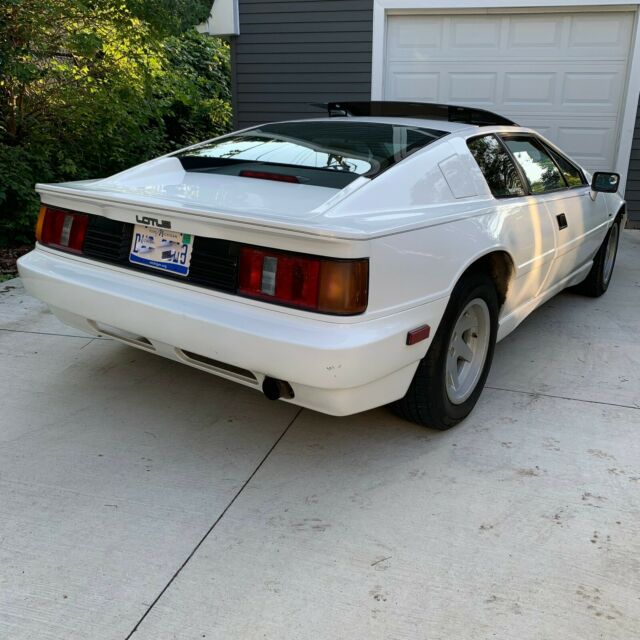 1988 Lotus Esprit - photo 6