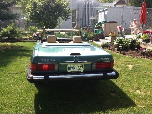 1988 Mercedes-Benz 500-Series 2 Dr Convertible - photo 4