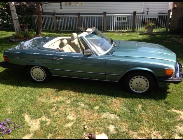 1988 Mercedes-Benz 500-Series 2 Dr Convertible - photo 5