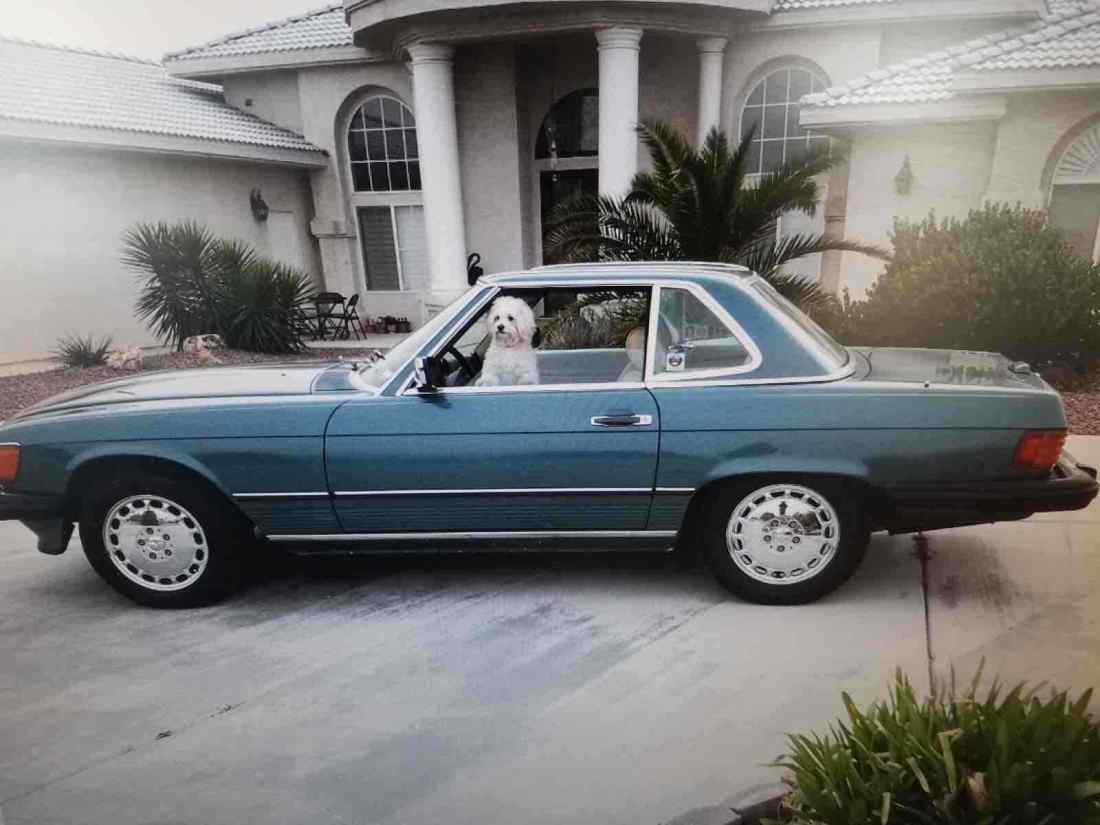1988 Mercedes-Benz 560SL Convertible Green RWD Automatic SL 1988 Mercedes-Benz 560SL SL