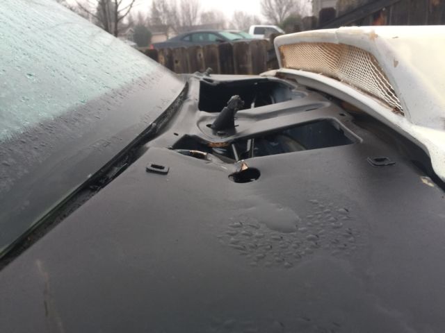 1988 Ford Mustang - photo 5