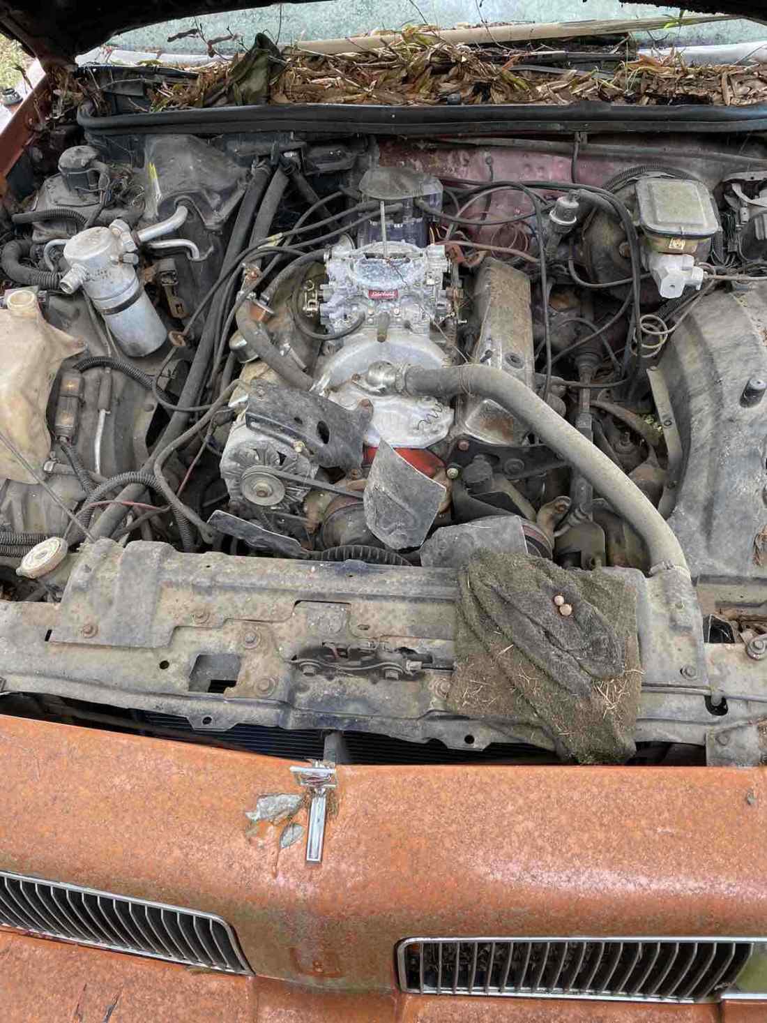 1988 Oldsmobile Cutlass Supreme CLASSIC BROUGHAM - photo 12