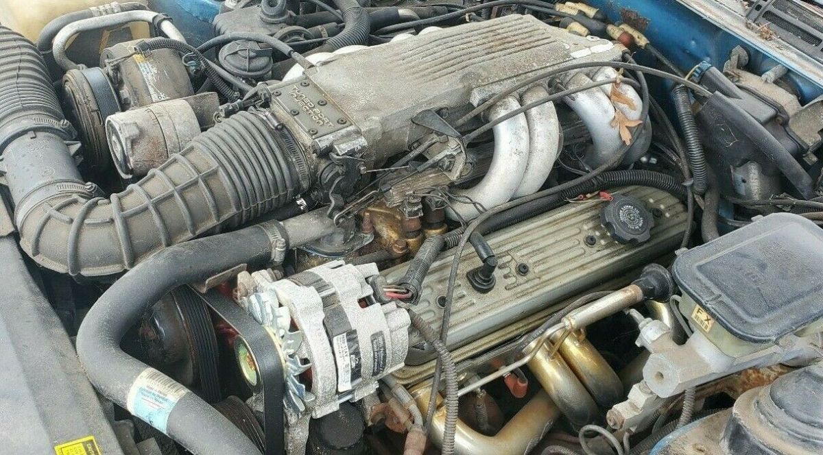 1988 Pontiac Firebird TRANS AM - photo 10