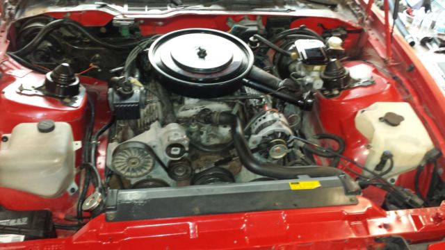 1988 Pontiac Firebird Trans Am - photo 8