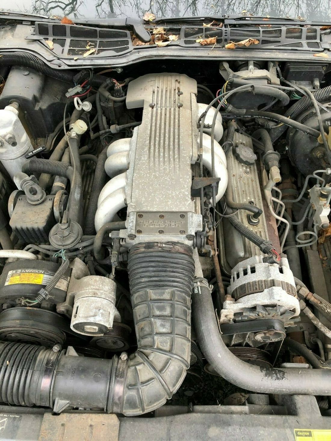 1988 Pontiac Firebird GTA - photo 13