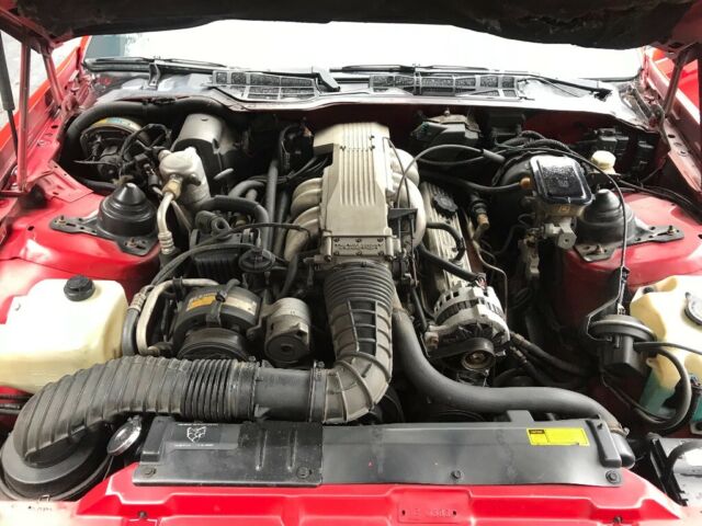 1988 Pontiac Trans Am - photo 5