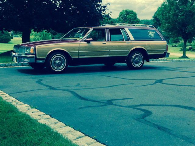 1988 Pontiac Other Base Wagon 4-Door - photo 10