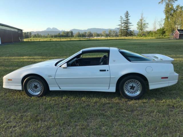 1988 Pontiac Trans Am GTA - photo 9