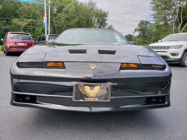 1988 Pontiac Firebird Pontiac Trans Am GTA 1987 1988 1989 - photo 11
