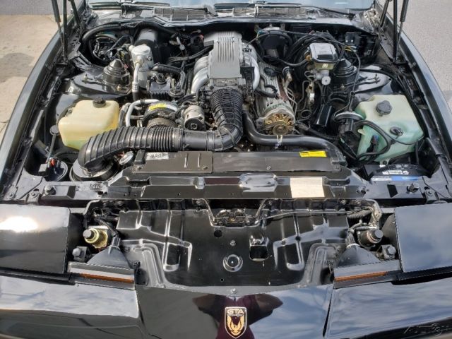 1988 Pontiac Firebird Pontiac Trans Am GTA 1987 1988 1989 - photo 12