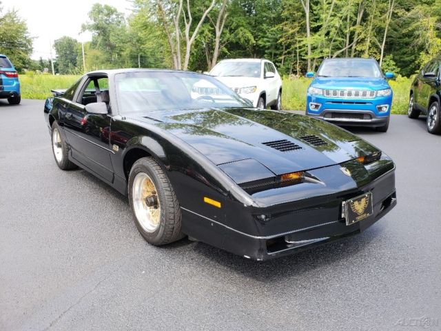 1988 Pontiac Firebird Pontiac Trans Am GTA 1987 1988 1989 - photo 8