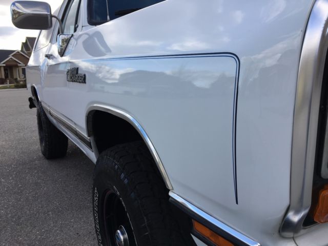1988 Dodge Ramcharger - photo 5