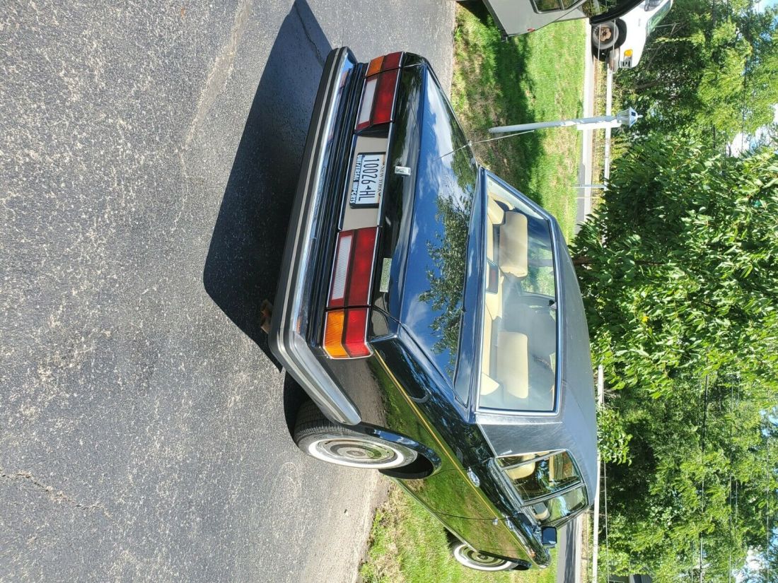 1988 Rolls-Royce Silver Spirit/Spur/Dawn - photo 5