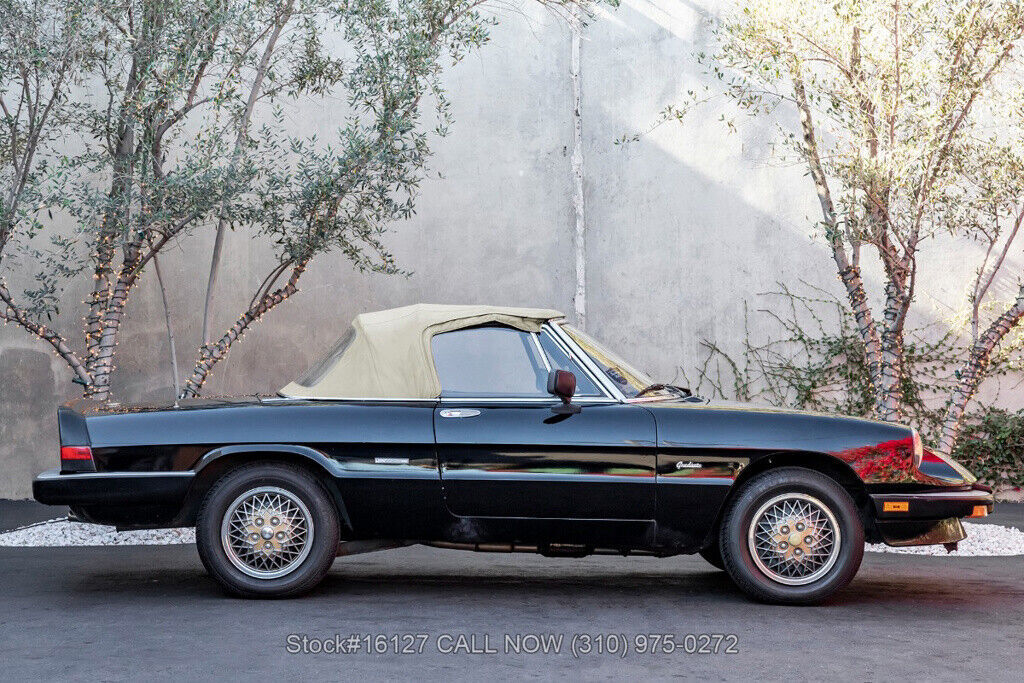 1988 Alfa Romeo Spider - photo 10