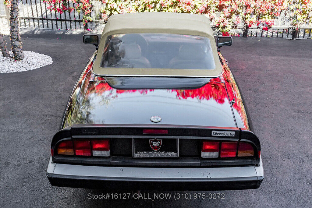 1988 Alfa Romeo Spider - photo 11