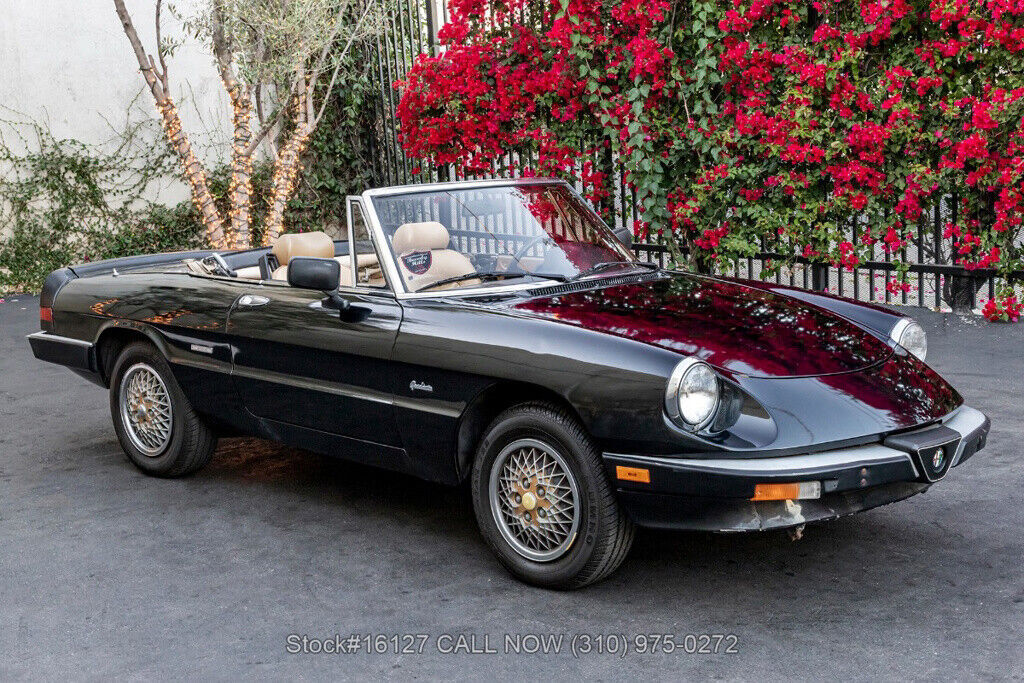 1988 Alfa Romeo Spider - photo 3