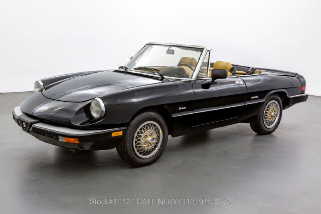 1988 Alfa Romeo Spider - photo 9