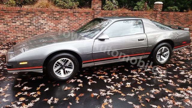 1988 Pontiac Firebird Base Coupe 2-Door - photo 4