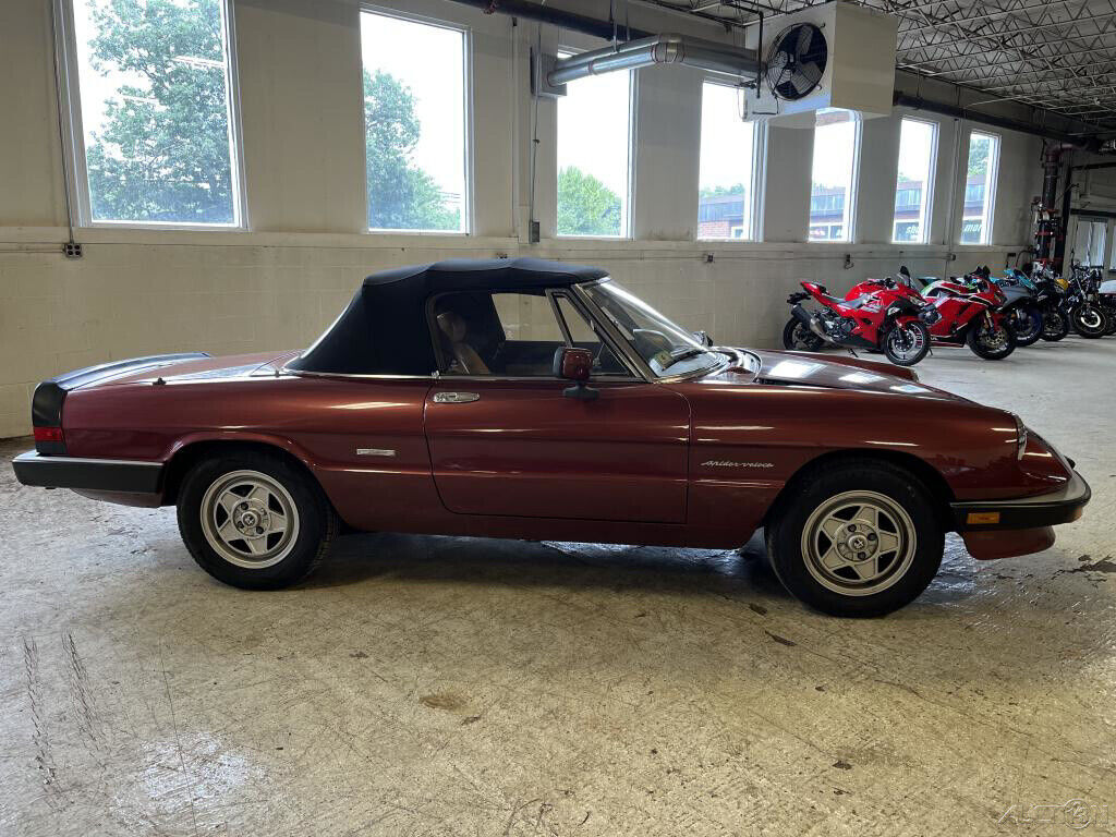 1988 Alfa Romeo Spider Veloce - photo 2