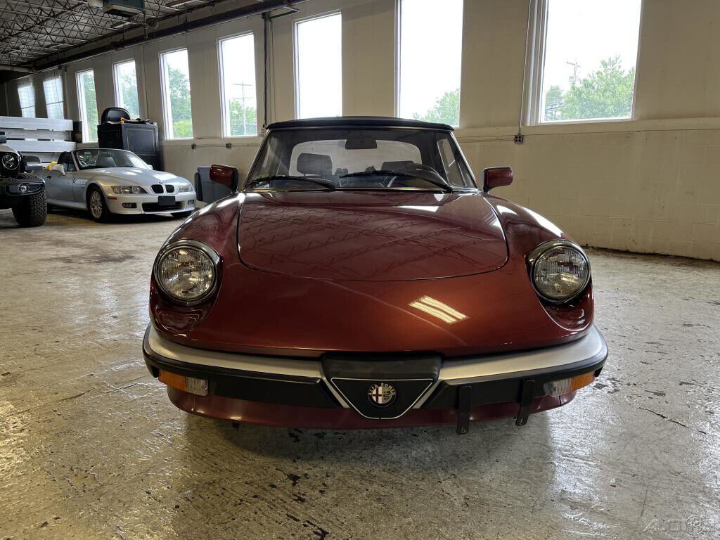 1988 Alfa Romeo Spider Veloce - photo 3